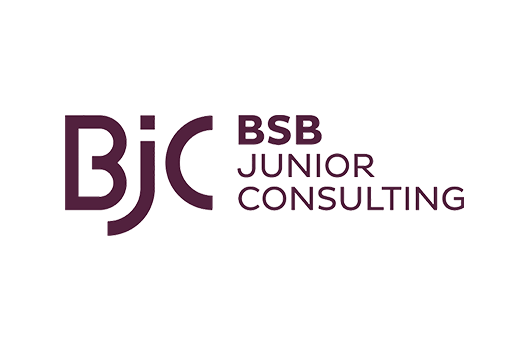 BSB Junior Consulting