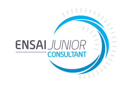 ENSAI junior Consultant