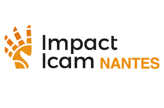 Impact Icam Nantes