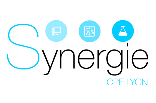 Synergie CPE Lyon